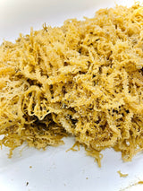 Wholesale Wildcaught Gold Seamoss From Trinidad - Elma's In Harlem