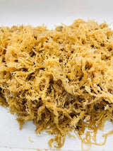 Wholesale Wildcaught Gold Seamoss From Trinidad - Elma's In Harlem