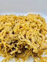Wholesale Wildcaught Gold Seamoss From Trinidad - Elma's In Harlem