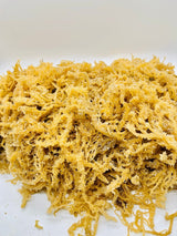 Wholesale Wildcaught Gold Seamoss From Trinidad - Elma's In Harlem